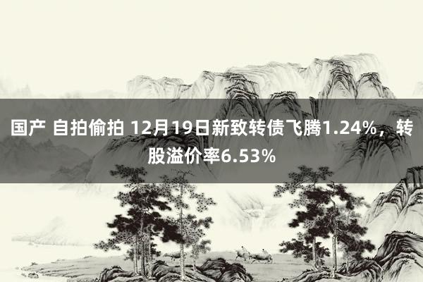 国产 自拍偷拍 12月19日新致转债飞腾1.24%，转股溢价率6.53%