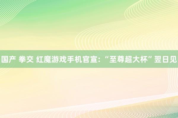 国产 拳交 红魔游戏手机官宣: “至尊超大杯”翌日见