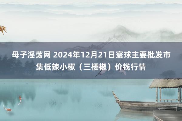 母子淫荡网 2024年12月21日寰球主要批发市集低辣小椒（三樱椒）价钱行情