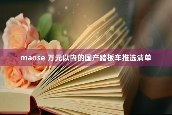 maose 万元以内的国产踏板车推选清单