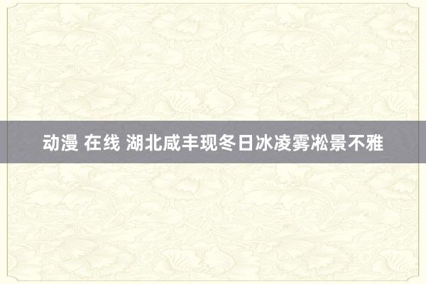 动漫 在线 湖北咸丰现冬日冰凌雾凇景不雅