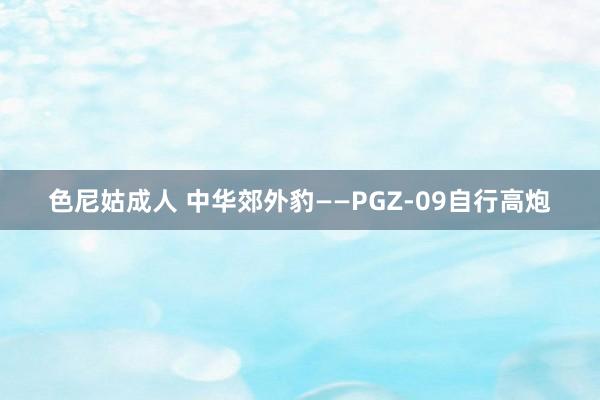 色尼姑成人 中华郊外豹——PGZ-09自行高炮