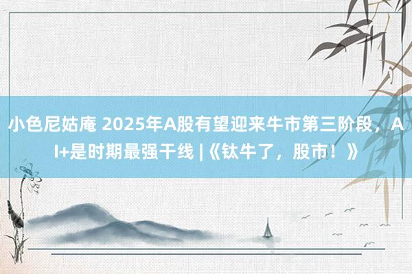 小色尼姑庵 2025年A股有望迎来牛市第三阶段，AI+是时期最强干线 |《钛牛了，股市！》