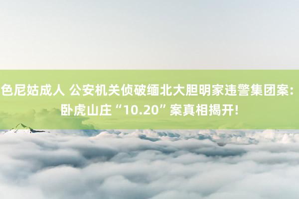 色尼姑成人 公安机关侦破缅北大胆明家违警集团案: 卧虎山庄“10.20”案真相揭开!