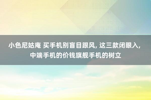 小色尼姑庵 买手机别盲目跟风, 这三款闭眼入, 中端手机的价钱旗舰手机的树立