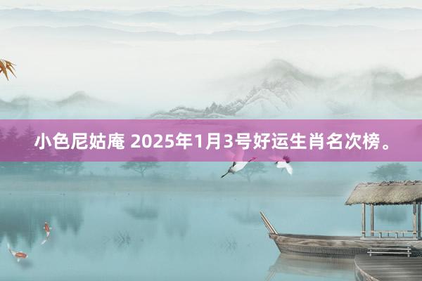 小色尼姑庵 2025年1月3号好运生肖名次榜。