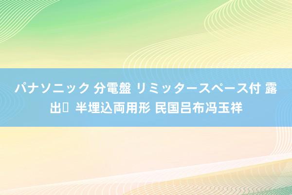 パナソニック 分電盤 リミッタースペース付 露出・半埋込両用形 民国吕布冯玉祥