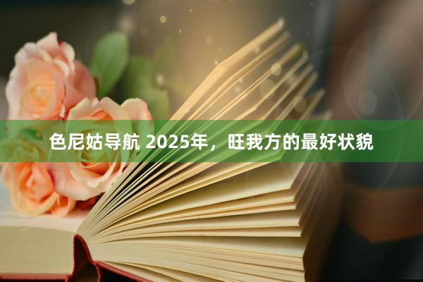 色尼姑导航 2025年，旺我方的最好状貌