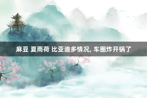 麻豆 夏雨荷 比亚迪多情况， 车圈炸开锅了