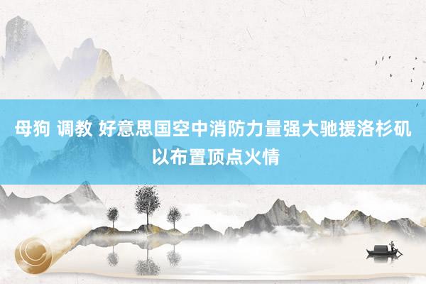 母狗 调教 好意思国空中消防力量强大驰援洛杉矶 以布置顶点火情