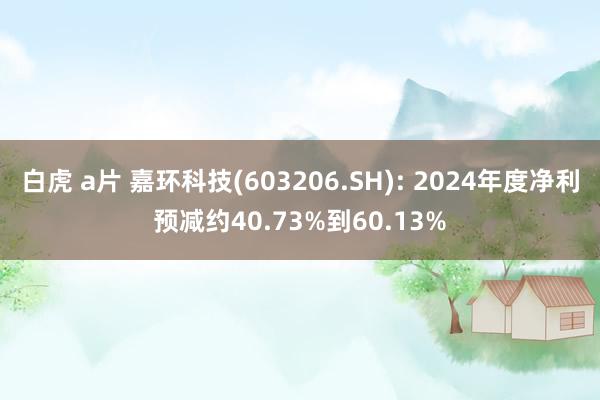 白虎 a片 嘉环科技(603206.SH): 2024年度净利预减约40.73%到60.13%