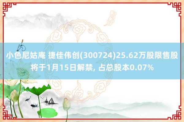 小色尼姑庵 捷佳伟创(300724)25.62万股限售股将于1月15日解禁， 占总股本0.07%