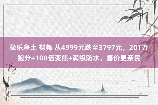 极乐净土 裸舞 从4999元跌至3797元，201万跑分+100倍变焦+满级防水，售价更亲民