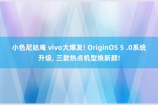 小色尼姑庵 vivo大爆发! OriginOS 5 .0系统升级， 三款热点机型焕新颜!